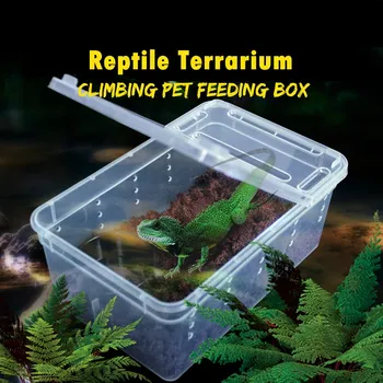 20 Buc Transparente Alimentare Cutie De Insecte Incubație Recipient De Plastic Portabil Terariu Reptile Habitat For Șopârlă Spider Broasca Șarpe