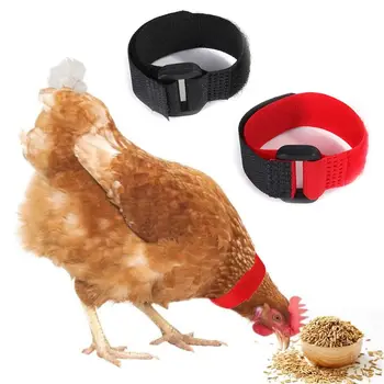 6 Buc Reglabil Pui Gulere Durabil Anti-Cârlig fără Zgomot de Susținere pentru Păsări Găină Rață Gâscă, Cocoș
